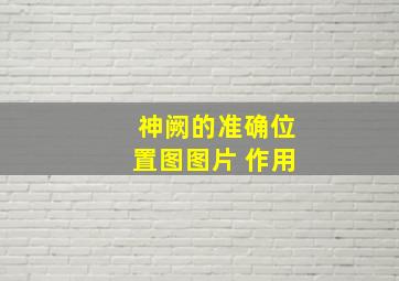 神阙的准确位置图图片 作用